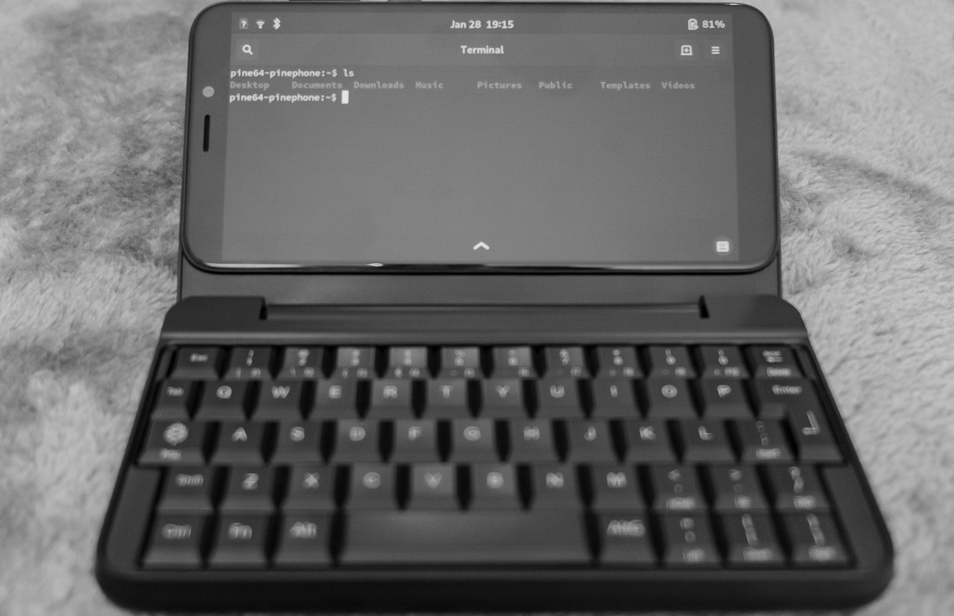 Pinephone with opened terminal